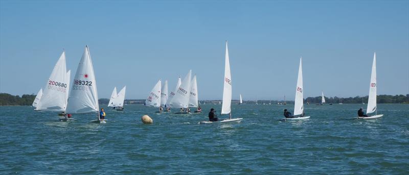 Laser / ILCA Spring Open at Royal Harwich photo copyright Theresa Thorogood taken at Royal Harwich Yacht Club and featuring the ILCA 7 class