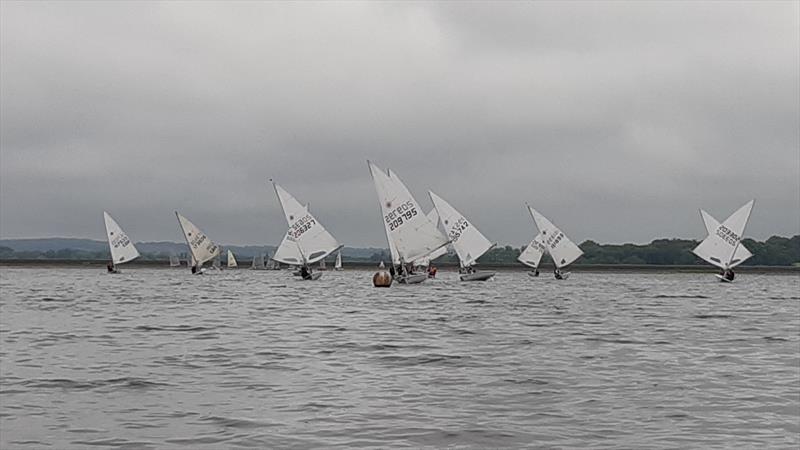 Solo and Laser Open at King George Sailing Club photo copyright Amir Shamsuddin taken at King George Sailing Club and featuring the ILCA 7 class