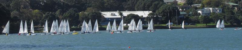 2018 RSA Laser Regatta photo copyright Chantal Grass taken at Panmure Lagoon Sailing Club and featuring the ILCA 7 class