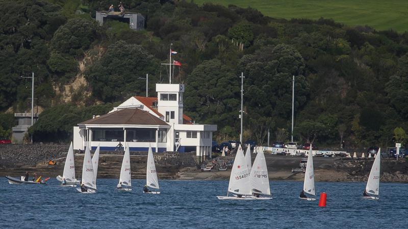 Laser racing - Tamaki Yacht Club -  Waitemata Harbour - June 2020 - photo © Richard Gladwell / Sail-World.com