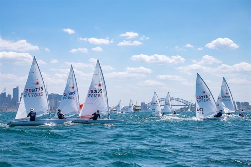 Laser sailing at Sydney Harbour photo copyright Diana Valia Chen taken at  and featuring the ILCA 7 class