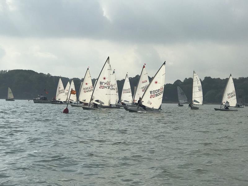 Royal Harwich YC ILCA Open - photo © Bob & Amanda Portway