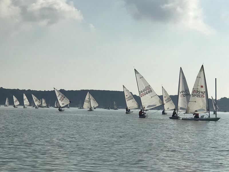 Royal Harwich YC ILCA Open photo copyright Bob & Amanda Portway taken at Royal Harwich Yacht Club and featuring the ILCA 7 class