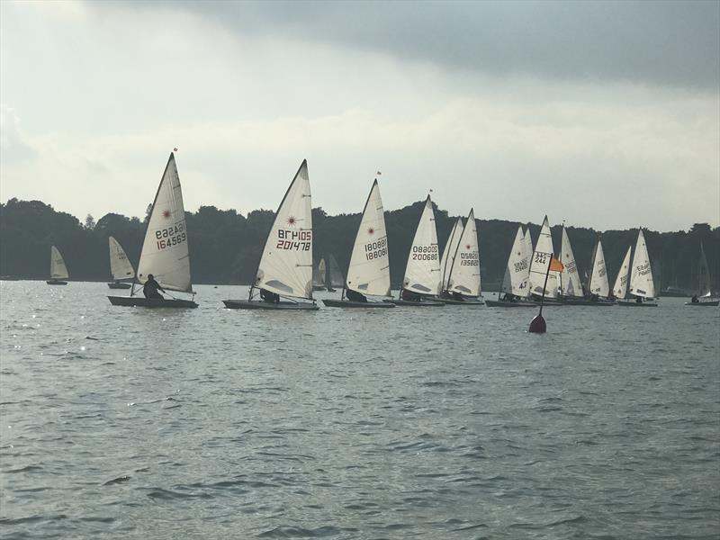 Royal Harwich YC ILCA Open photo copyright Bob & Amanda Portway taken at Royal Harwich Yacht Club and featuring the ILCA 7 class