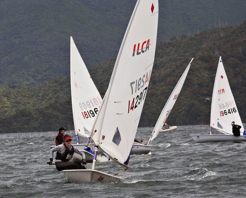 NZ ILCA National Championships - Day 1, Queen Charlotte Yacht Club, Picton photo copyright Christel Hopkins taken at Queen Charlotte Yacht Club and featuring the ILCA 7 class