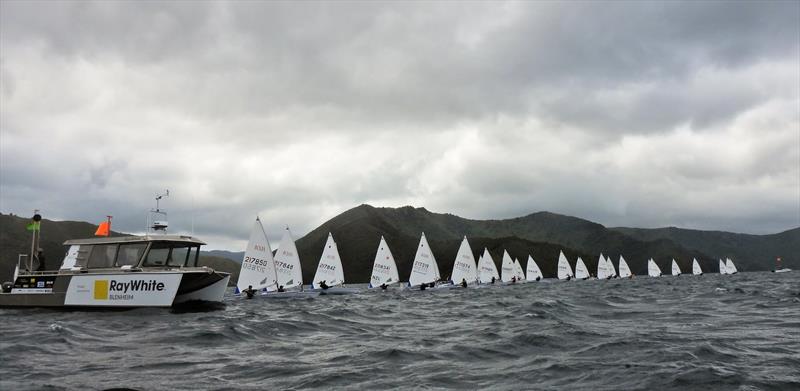 NZ ILCA National Championships - Day 1, Queen Charlotte Yacht Club, Picton - photo © Christel Hopkins