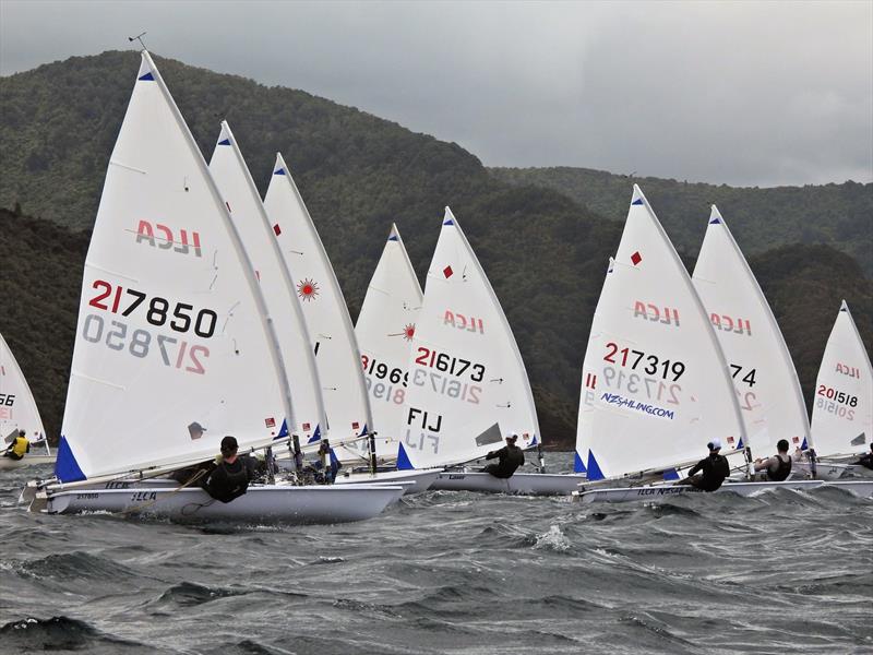 NZ ILCA National Championships - Day 1, Queen Charlotte Yacht Club, Picton photo copyright Christel Hopkins taken at Queen Charlotte Yacht Club and featuring the ILCA 7 class