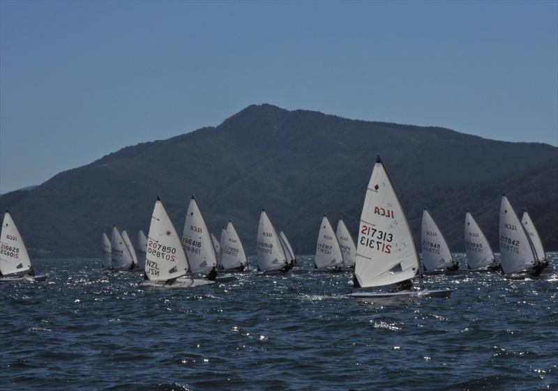 NZ ILCA National Championships - Day 3, Queen Charlotte Yacht Club, Picton photo copyright Christel Hopkins taken at Queen Charlotte Yacht Club and featuring the ILCA 7 class