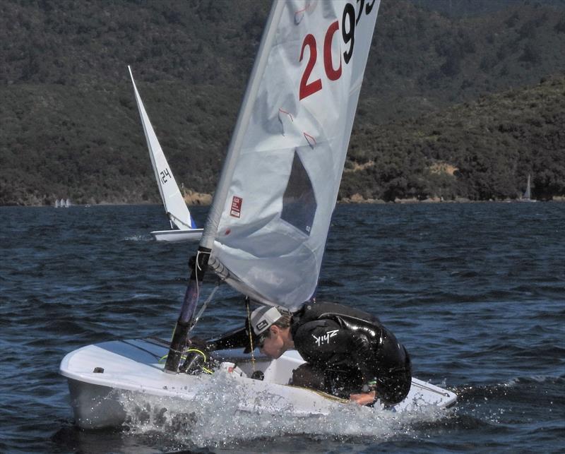 NZ ILCA National Championships - Day 3, Queen Charlotte Yacht Club, Picton photo copyright Christel Hopkins taken at Queen Charlotte Yacht Club and featuring the ILCA 7 class