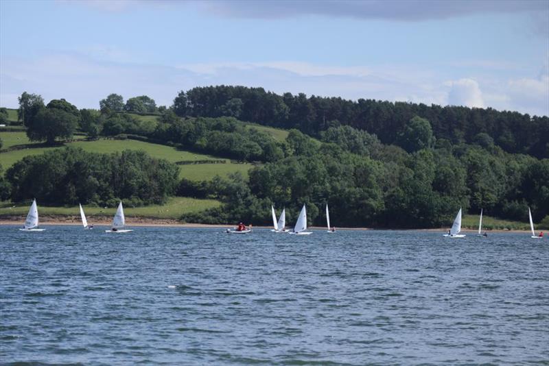 Carsington Water ILCA Open photo copyright David Tinch taken at Carsington Sailing Club and featuring the ILCA 7 class