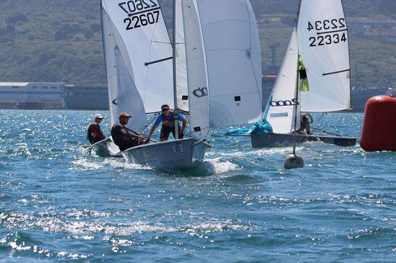 2000 Class Nationals at Castle Cove SC in 2016 photo copyright CCSC taken at Castle Cove Sailing Club and featuring the 2000 class