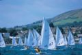 The fleet sails downwind at the inaugural Laser 4.7 Nationals