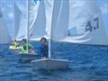 © SVG Sailing