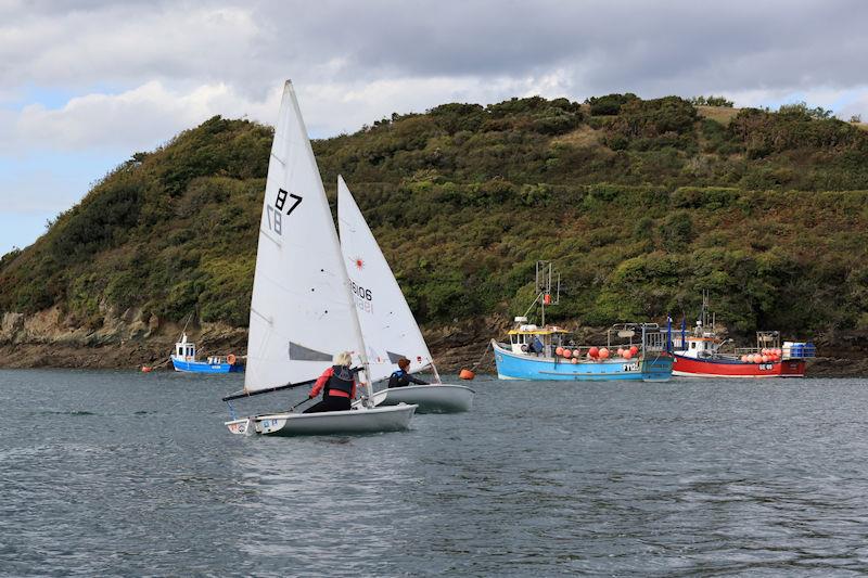 Salcombe YC Autumn Series race 4 - photo © Lucy Burn