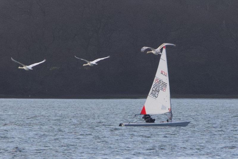 Dell Quay Frostbite Series day 4 - race 7 - photo © Fabienne Boue-Bigne