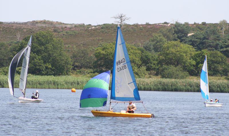There was a prize for 'Most interesting spinnaker' at the Annual Ten Hour Race at Frensham Pond photo copyright FPSC taken at Frensham Pond Sailing Club and featuring the Laser Pico class