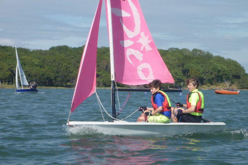 Chichester YC Dinghy Week 2021 photo copyright CYC taken at Chichester Yacht Club and featuring the Laser Pico class