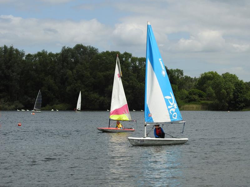 Juniors during the SESCA Antigua Sailing Day Regatta 2022 photo copyright Steve Smith taken at St Edmundsbury Sailing & Canoeing Association and featuring the Laser Pico class