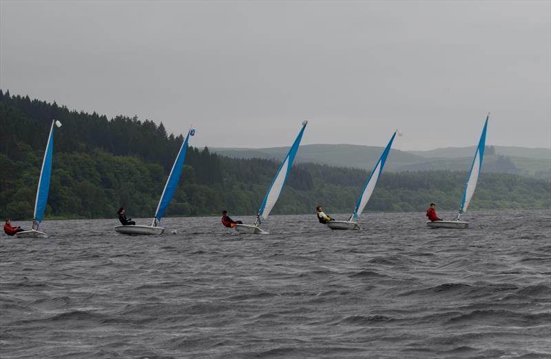 5 Castles Regatta 2024 photo copyright Ally Brown taken at  and featuring the Laser Pico class