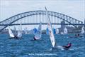 2022 Women's Regatta at Double Bay Sailing Club  © Andrea Francolini