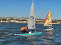 Leigh on Sea SC Brass Monkey Trophy Race © Steve Hill