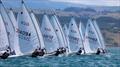 ILCA 6 start Day 3 - ILCA (Laser) NZ National Championship - Napier - January 2023 © Richard Beauchamp