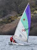 Exmoor Beastie 2025 © John Culshaw