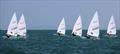 ILCA 6 fleet upwind on day 3 of the Royal Varuna Yacht Club Open Masters Championship 2026 &copy; Henry Weidmann