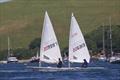 Salcombe Yacht Club Sailing Club Series Race 6 &copy; Lucy Burn