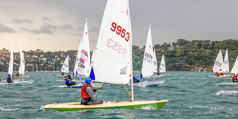 ILCA Laser 50th anniversary celebrations in Sydney Harbour - photo © AeroMedia