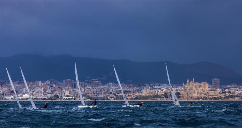 Hempel World Cup Series photo copyright Sailing Energy taken at Real Club Náutico de Palma and featuring the ILCA 6 class