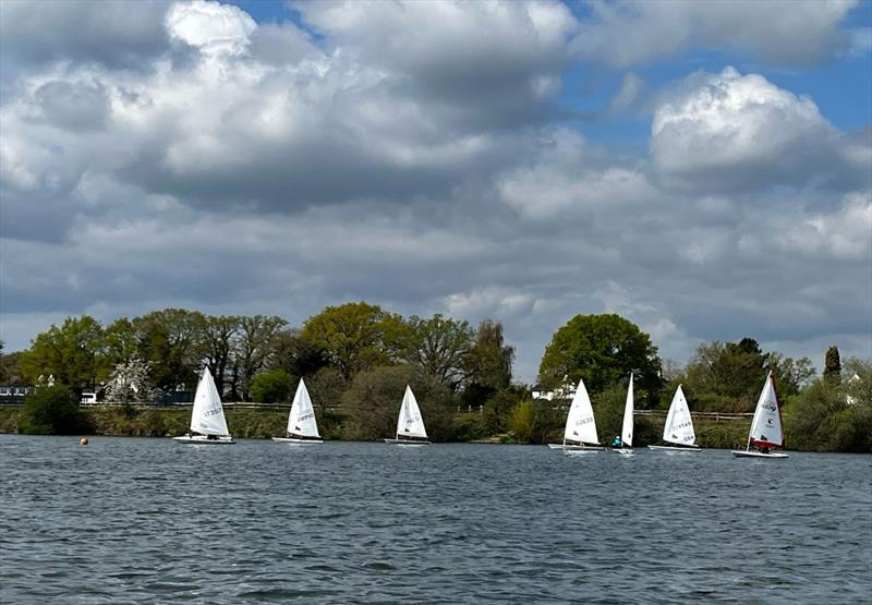 Papercourt ILCA Open photo copyright Matthew Bligh taken at Papercourt Sailing Club and featuring the ILCA 6 class