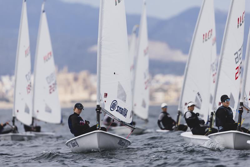ILCA 6 fleet - Mallorca Sailing Centre Regatta 2026 day 1 - photo © Bernardí Bibiloni