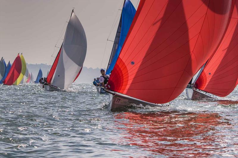 Tasmania's Difficult Women (Rob Gough) on day 2 of the SB20 Worlds at Cowes  photo copyright Jennifer Burgis taken at Royal Yacht Squadron and featuring the SB20 class