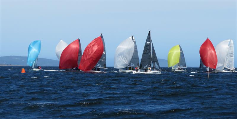 The fleet contesting the SB20 Sprint Series in Hobart photo copyright Michelley Denney taken at Derwent Sailing Squadron and featuring the SB20 class