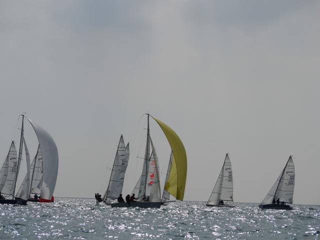 Laser SB3 nationals day 2 photo copyright Jon Ayton taken at Brighton Marina Yacht Club and featuring the SB20 class