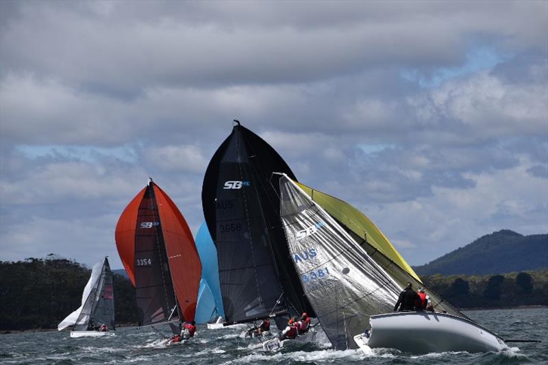The wind gusts sorted a few boats out on the Tamar River on the first day of sailing - 6ty SB20 Tasmanian Championship day 1 - photo © Jane Austin