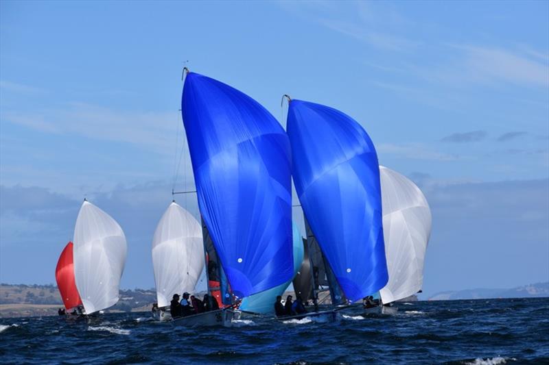 Honey Badger and Taz Racing Team - the two lead boats in the Youth Division of the Harcourts Hobart SB20 Australian Championship photo copyright Jane Austin taken at Derwent Sailing Squadron and featuring the SB20 class