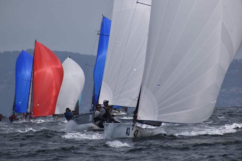 2Unlimited skippered by Oli Nicholas leads the fleet downwind - 2021 SB20 Australian Championship photo copyright Jane Austin taken at Derwent Sailing Squadron and featuring the SB20 class