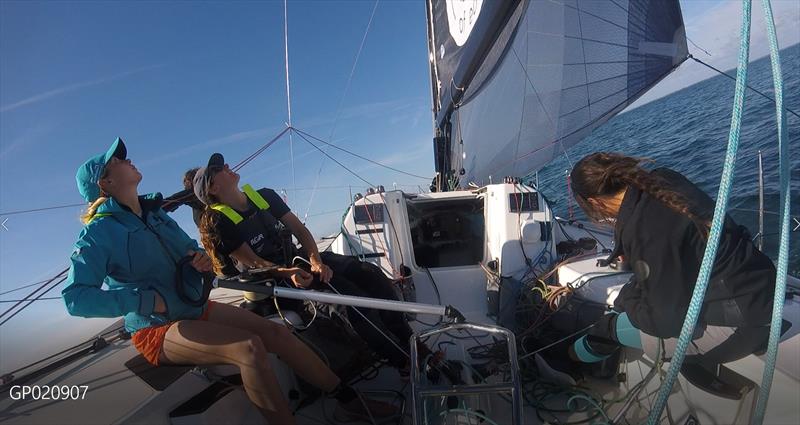 Team The Magenta Project at Spi Ouest photo copyright Cat Hunt taken at Société Nautique de La Trinité-sur-Mer and featuring the Figaro class