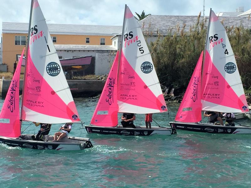 RS Fevas set for the America's Cup Junior Endeavour Regatta photo copyright RS Sailing taken at  and featuring the  class