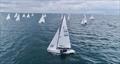 2024 Lightning North American Championship © Kathleen Tocke Media