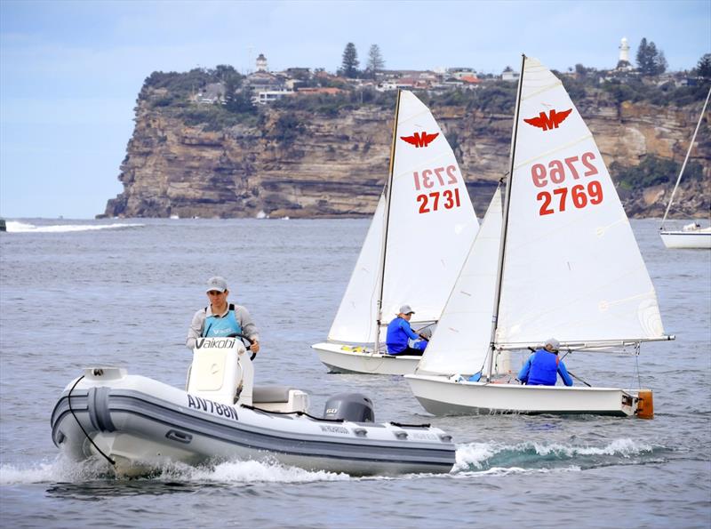 Junior volunteers photo copyright SailMedia taken at Manly 16ft Skiff Sailing Club and featuring the Manly Junior class