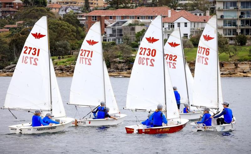 Manly Juniors at Manly 16ft Skiff Sailing Club photo copyright SailMedia taken at Manly 16ft Skiff Sailing Club and featuring the Manly Junior class