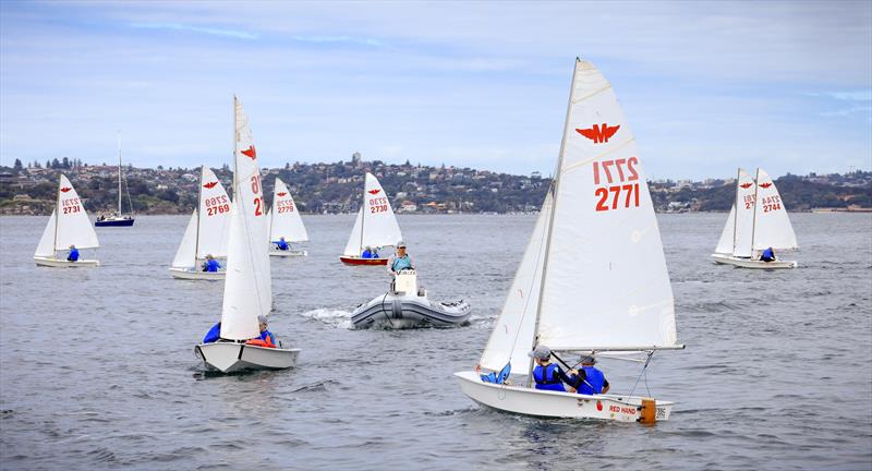 Manly Juniors at Manly 16ft Skiff Sailing Club photo copyright SailMedia taken at Manly 16ft Skiff Sailing Club and featuring the Manly Junior class