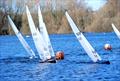 M&S District Marblehead Championship and GAMES event at Three Rivers © Gillian Pearson