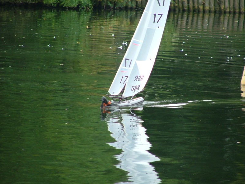 The Marblehead fleet gather on Charnwood Water photo copyright Graham Allen taken at Leicestershire Radio Yacht Club and featuring the Marblehead class