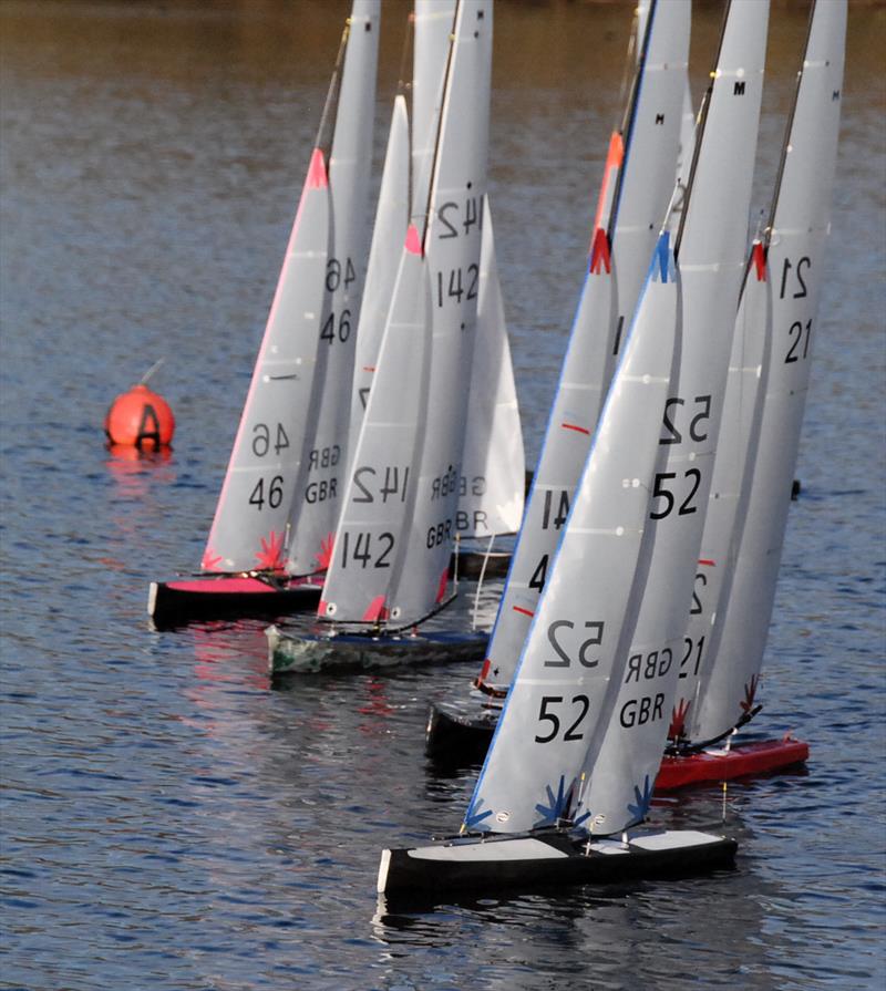 Marblehead Stan Cleal Trophy at Three Rivers RYC photo copyright John Male taken at Three Rivers Radio Yachting Club and featuring the Marblehead class