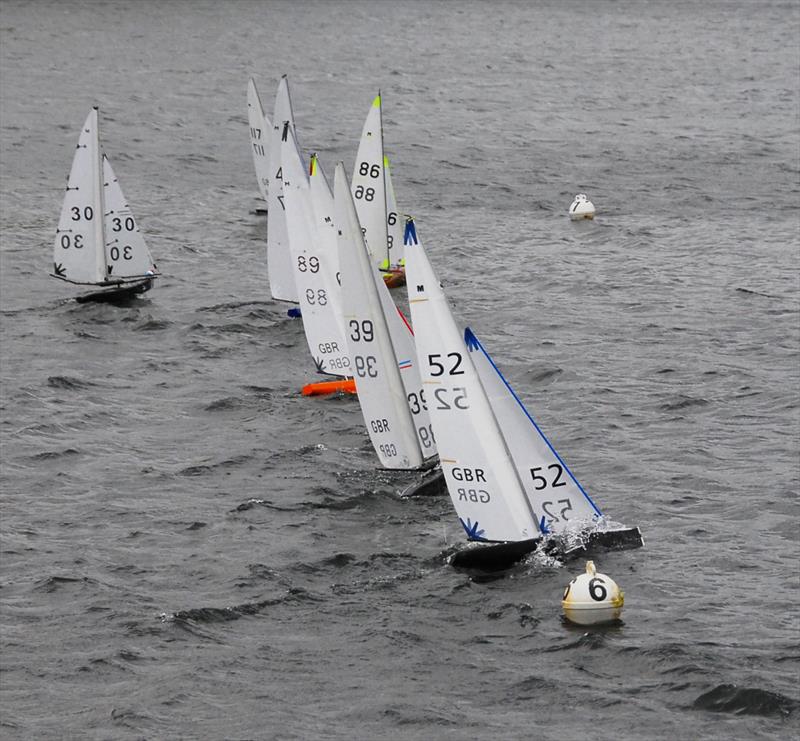 2021 M&S District Marblehead Championship - GAMES 5: a good start coming up for all except for Martin Crysell 52, who is clearly over the line! photo copyright Roger Stollery taken at Guildford Model Yacht Club and featuring the Marblehead class
