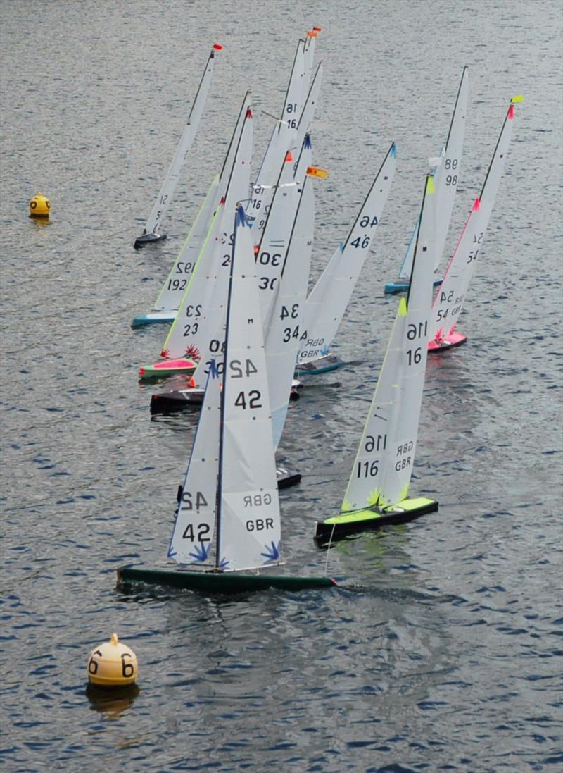 Marblehead Acorn Trophy at Abbey Meads photo copyright Roger Stollery taken at Guildford Model Yacht Club and featuring the Marblehead class